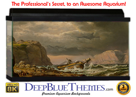 Buy Aquarium Background Wreck Beach Aquarium Background