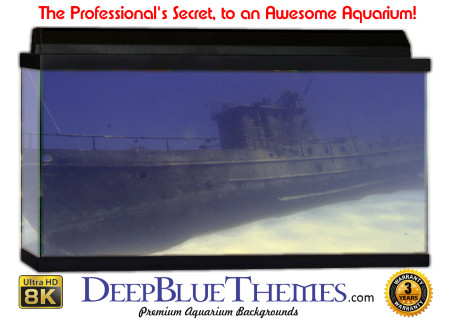 Buy Aquarium Background Wreck Beached Aquarium Background