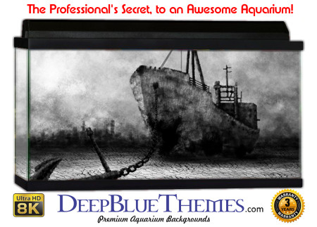 Buy Aquarium Background Wreck Bw Aquarium Background