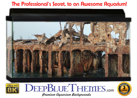Buy Aquarium Background Wreck Frame Aquarium Background
