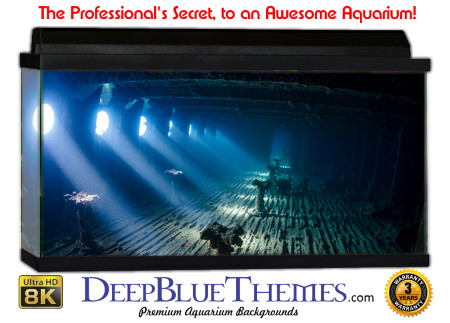 Buy Aquarium Background Wreck Inside Aquarium Background