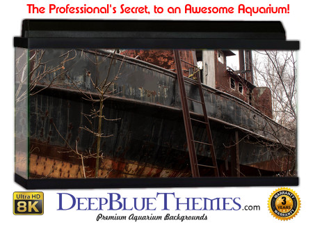 Buy Aquarium Background Wreck Junk Aquarium Background