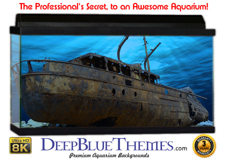 Buy Aquarium Background Wreck Mark Aquarium Background