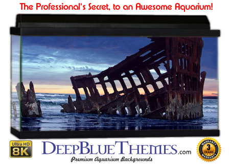 Buy Aquarium Background Wreck Night Aquarium Background