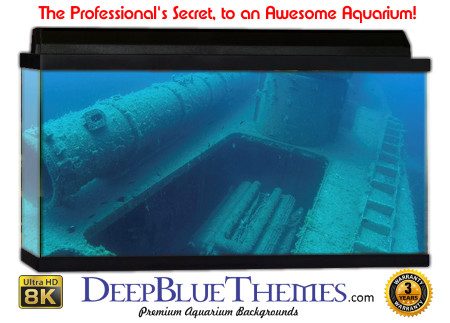 Buy Aquarium Background Wreck Open Aquarium Background