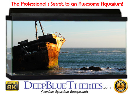 Buy Aquarium Background Wreck Reef Aquarium Background
