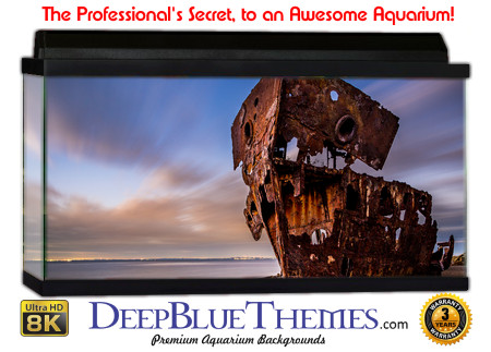 Buy Aquarium Background Wreck Rust Aquarium Background