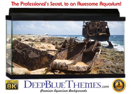 Buy Aquarium Background Wreck Shore Aquarium Background